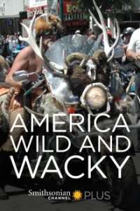 America: Wild & Wacky Cover, Online, Poster