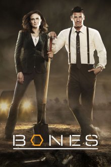 Bones - Die Knochenjägerin Cover, Poster, Blu-ray,  Bild