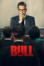 Cover Bull, Poster, Stream