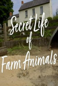 Der Bauernhof – Die faszinierende Welt der Tiere Cover, Poster, Der Bauernhof – Die faszinierende Welt der Tiere