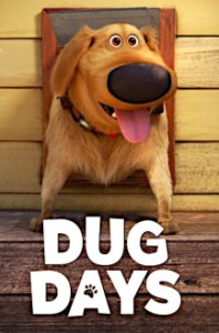 Cover Dug Tage, Poster