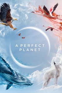 Ein perfekter Planet Cover, Poster, Ein perfekter Planet