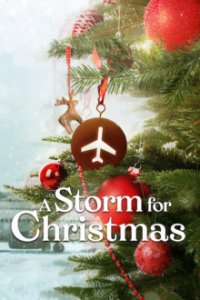 Cover Ein Sturm zu Weihnachten, Poster, HD