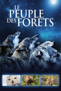 Eine Welt aus Wäldern Cover, Poster, Eine Welt aus Wäldern