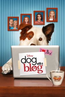 Hund mit Blog Cover, Poster, Blu-ray,  Bild
