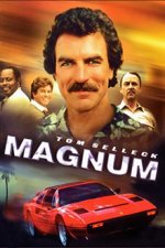 Cover Magnum, Poster, Stream