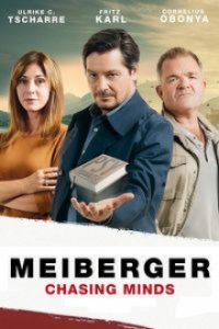 Cover Meiberger - Im Kopf des Täters, TV-Serie, Poster