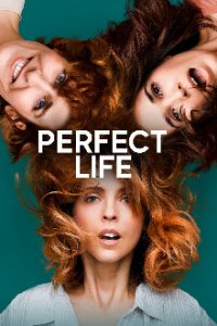 Perfect Life Cover, Poster, Perfect Life DVD