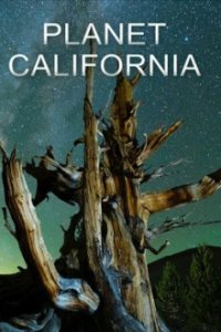 Planet California Cover, Stream, TV-Serie Planet California