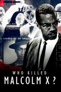 Cover Wer hat Malcolm X umgebracht?, TV-Serie, Poster