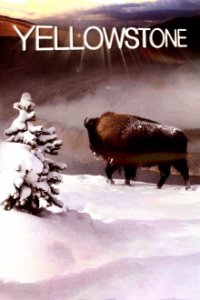 Yellowstone Nationalpark Cover, Poster, Yellowstone Nationalpark DVD